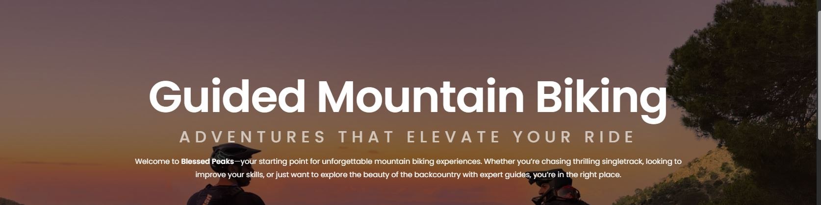 Activity Banner