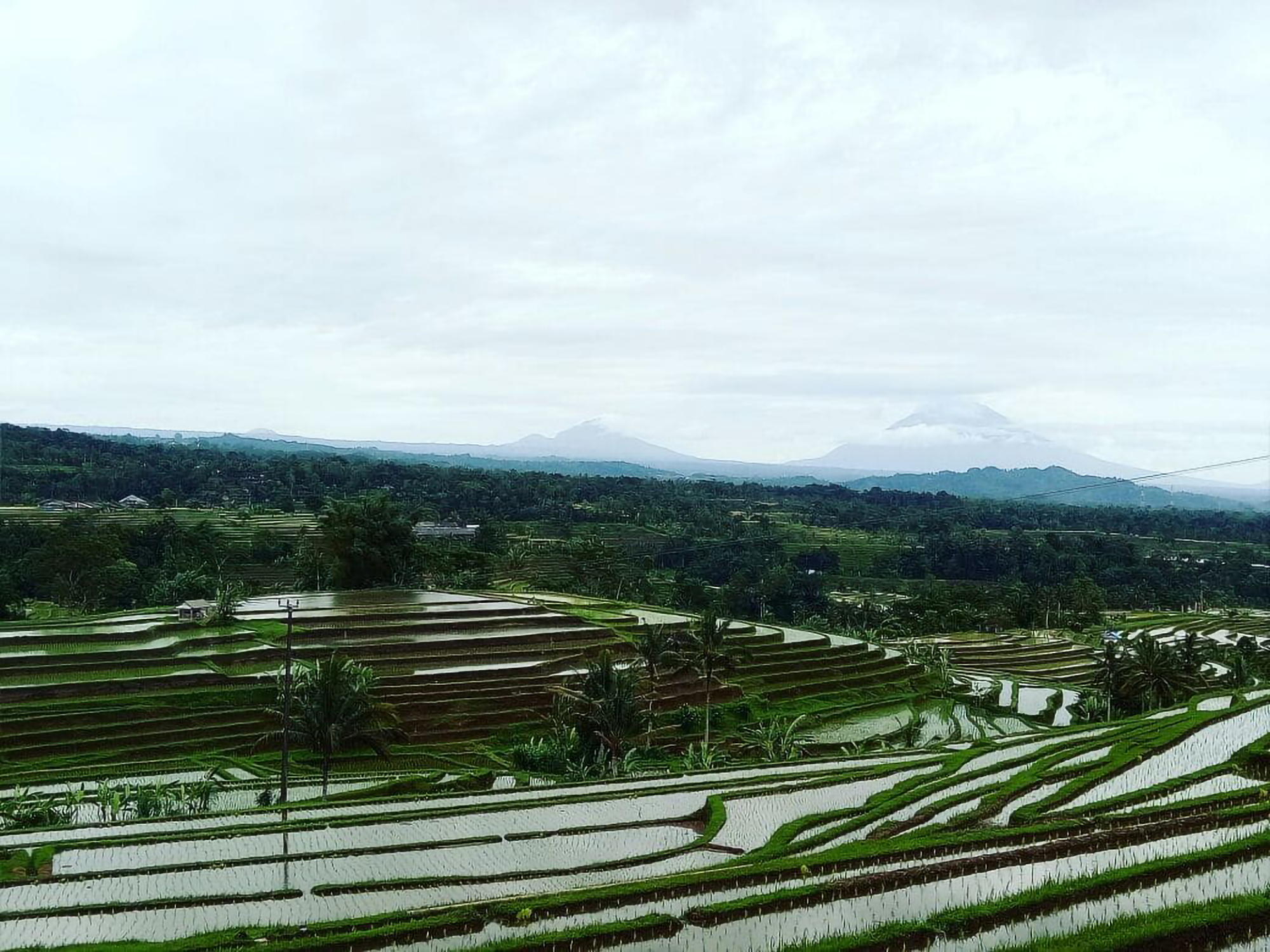 Jatiluwih World Heritage Site Trekking