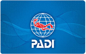 Activity Banner