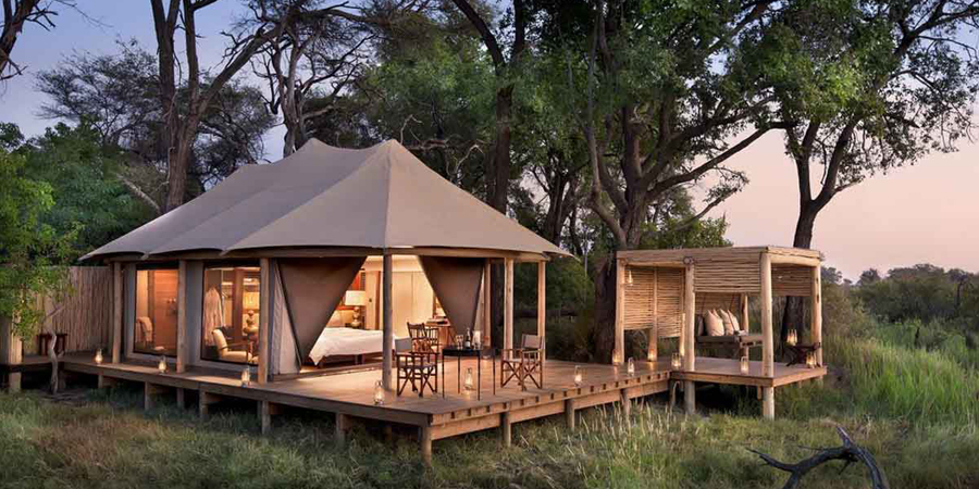 Safari