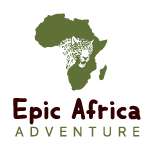 Activity Banner