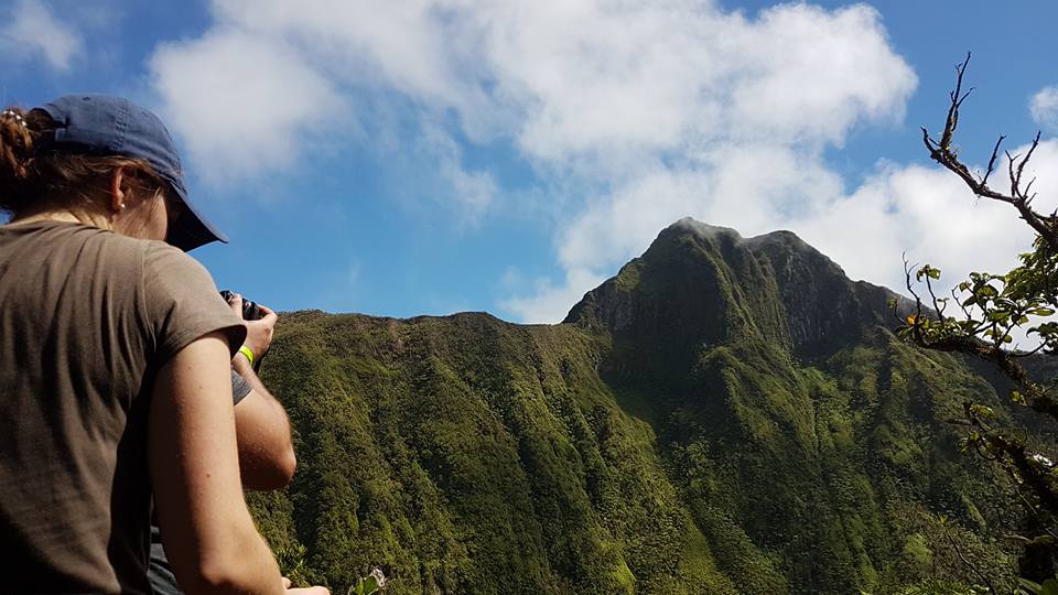 Activity Banner