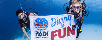 6 Dive Package