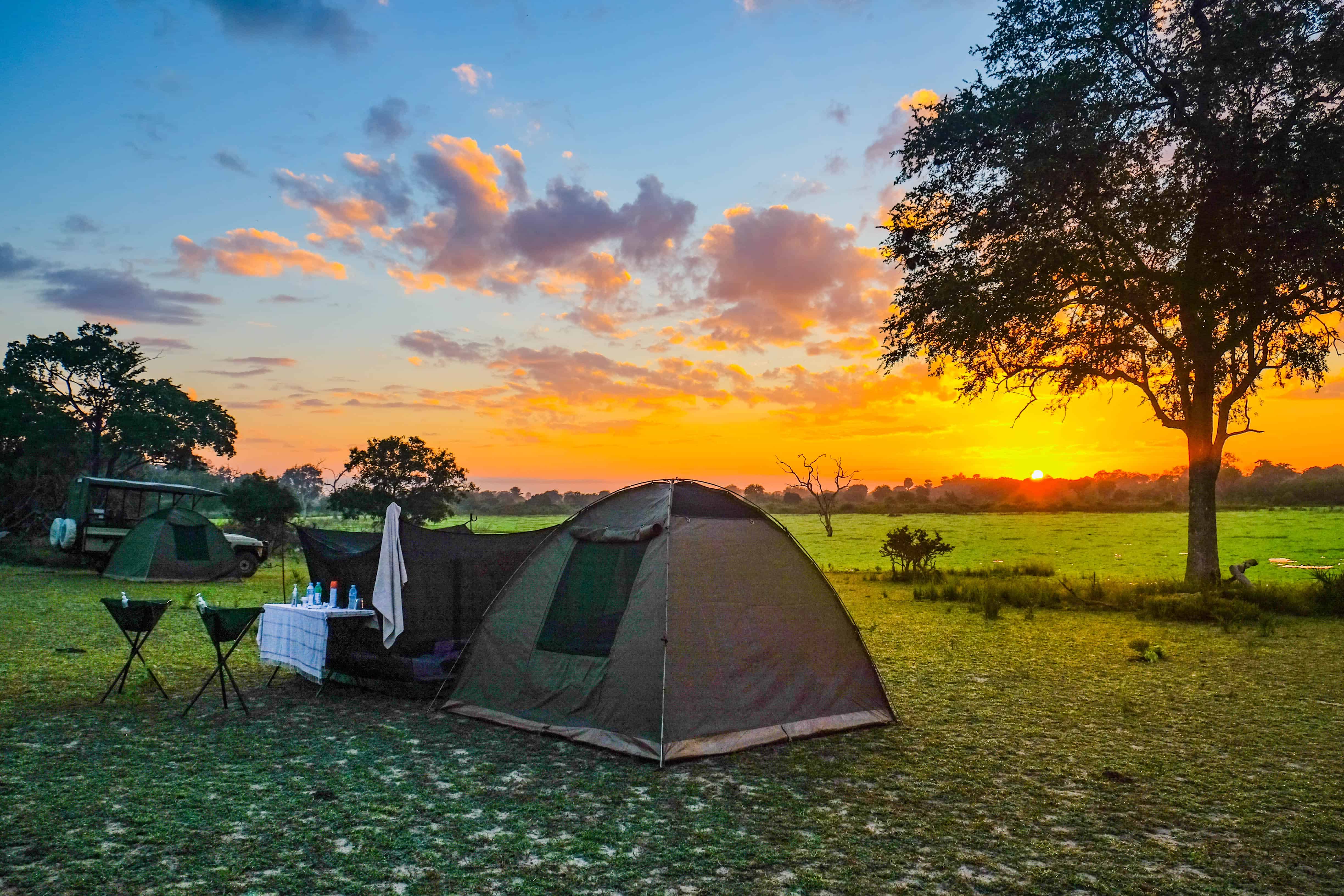 6 Days Budget safari in Tanzania