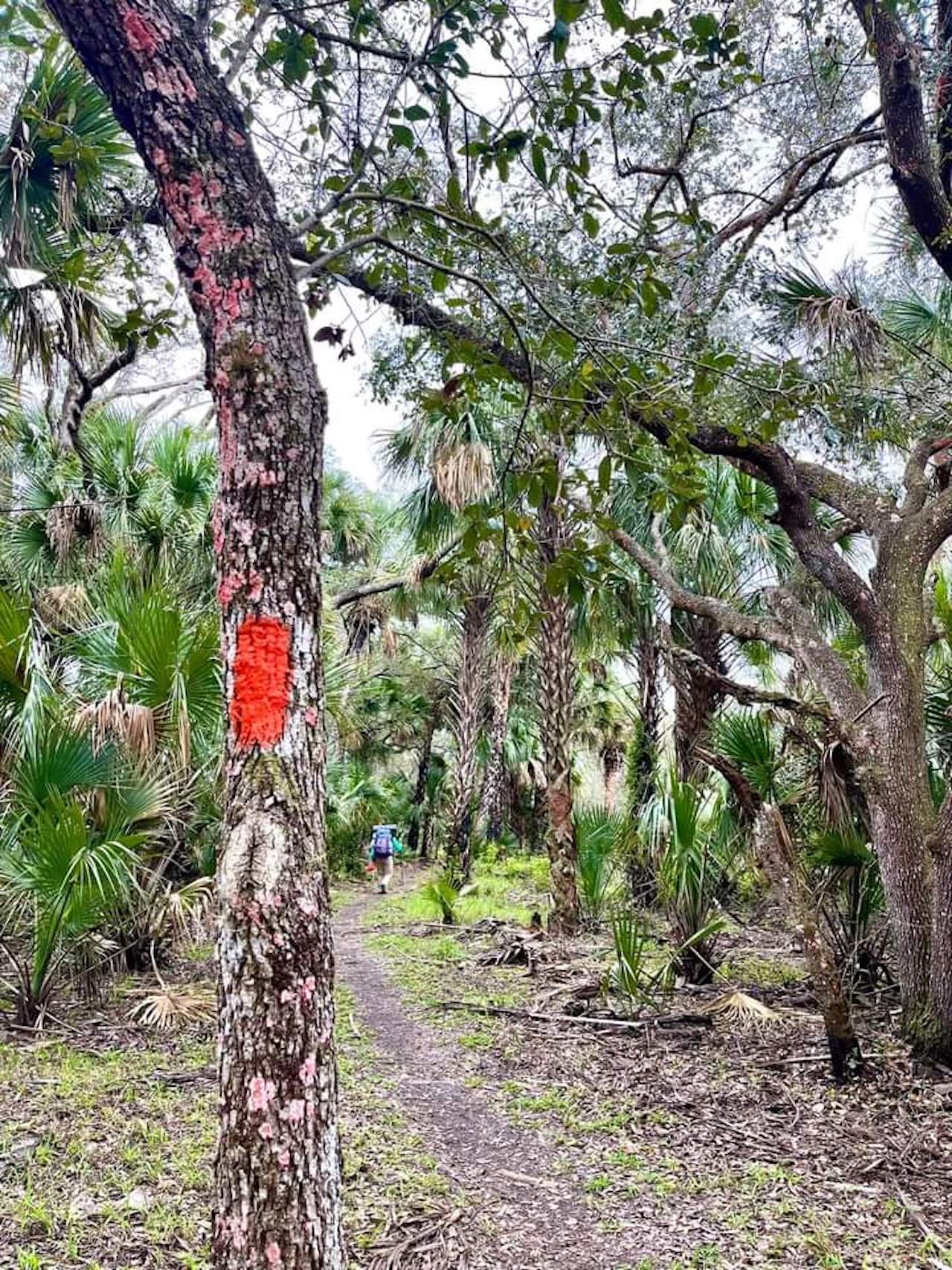 Guided Backpacking Trek