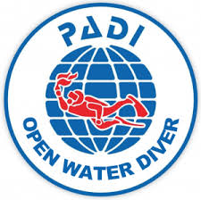 Open Water Diver Course