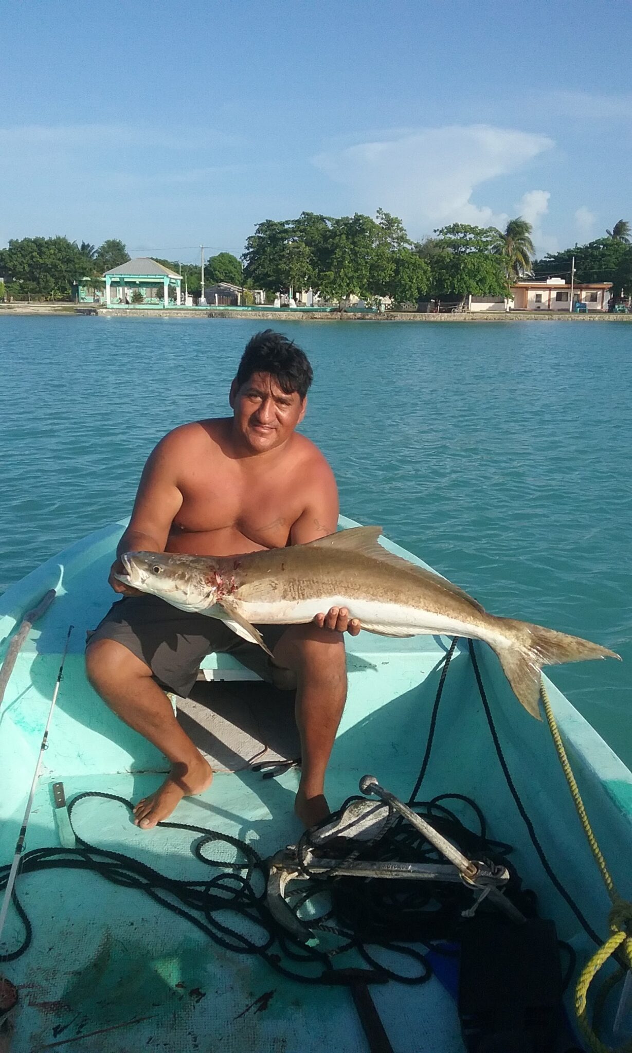 Reef Fishing / Bottom Fishing