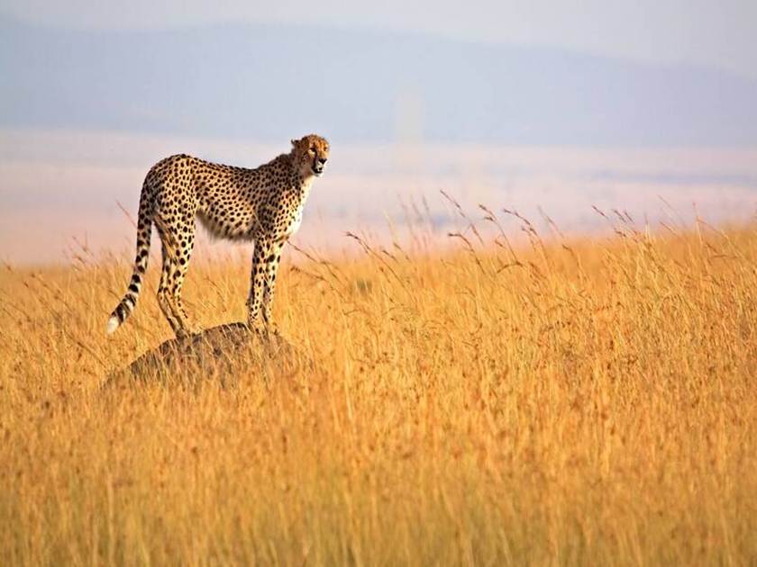 Top 5 Adventure Activities in Kenya