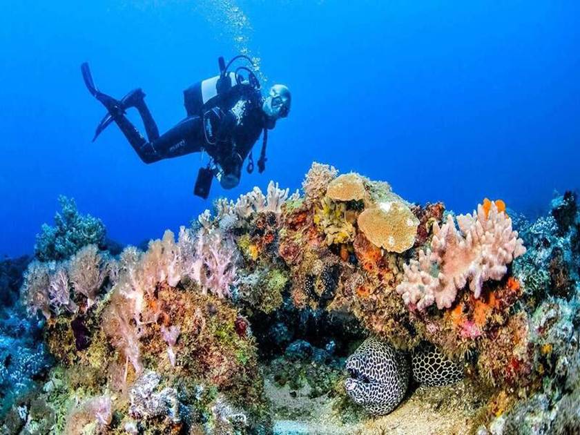 Scuba Diving and Snorkeling in the Indian Ocean