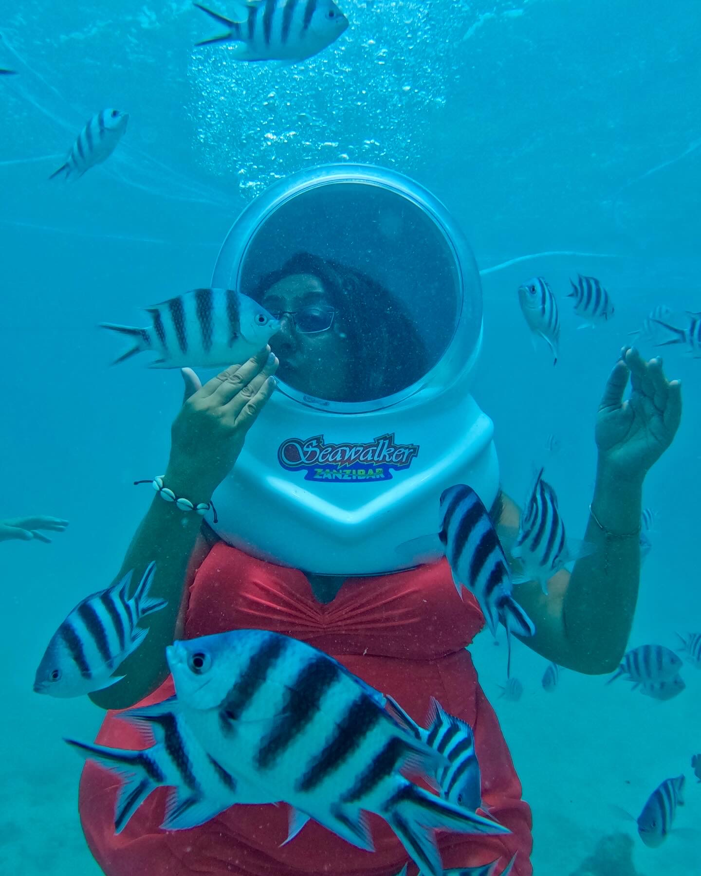 Zanzibar Seawalk