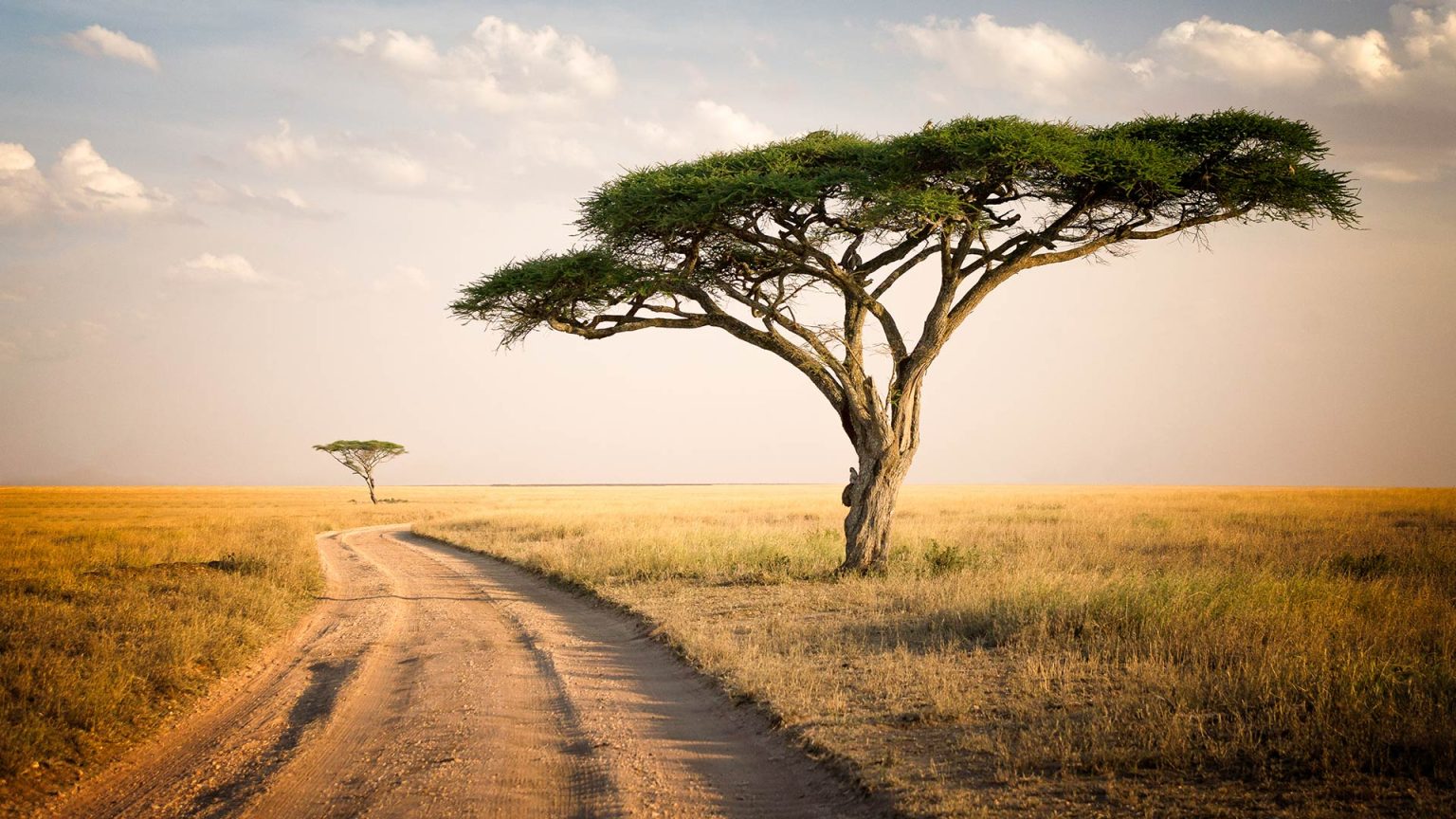 Adventure Makers Tanzania