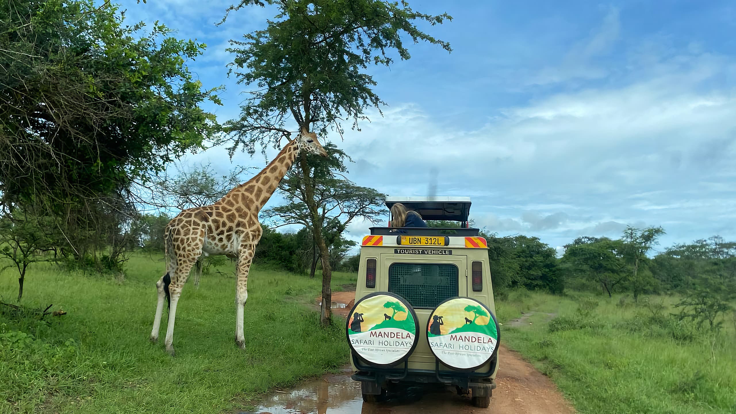 Mandela Safari Holidays Ltd