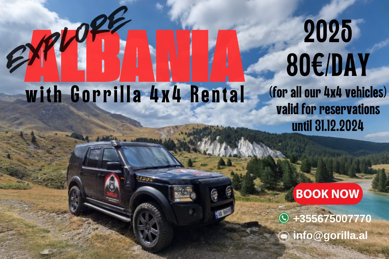 Gorilla LTD