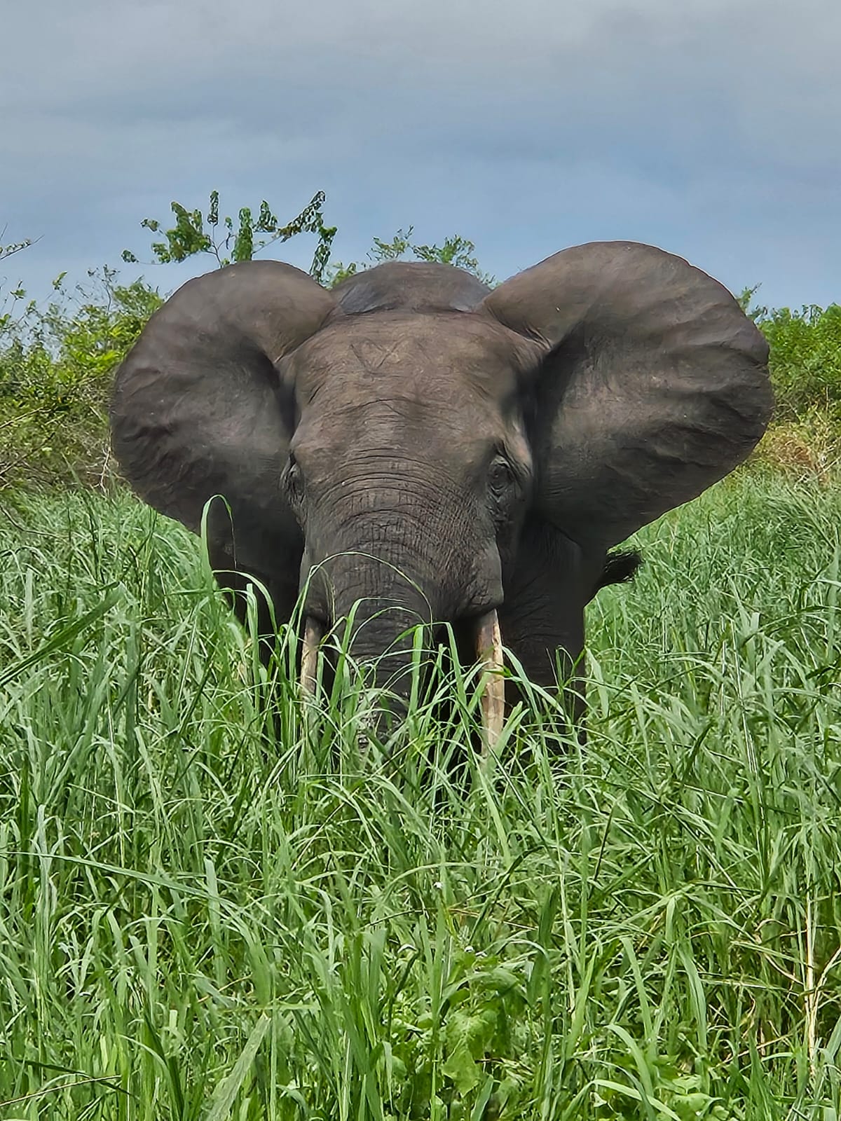 Visit Gabon