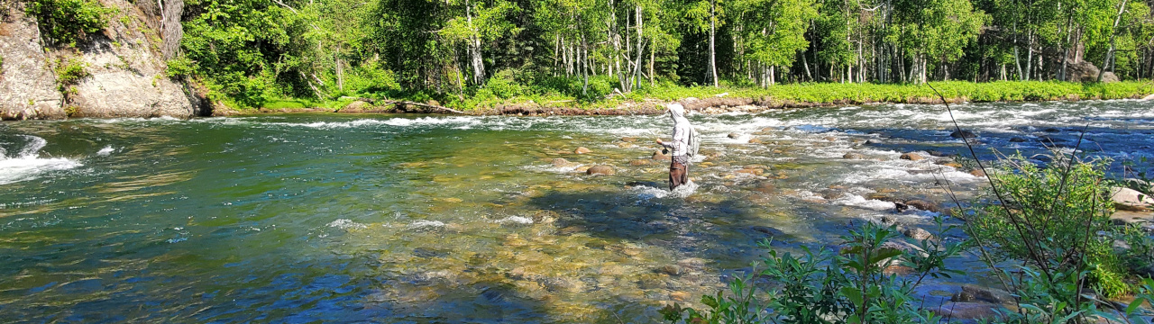 Alaska Adventure Guides