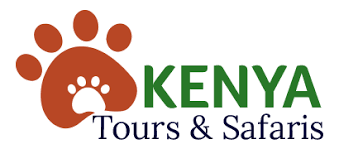 Kenya tours and safaris