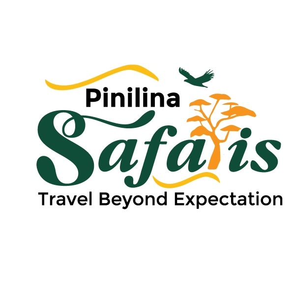 Pinilina safaris