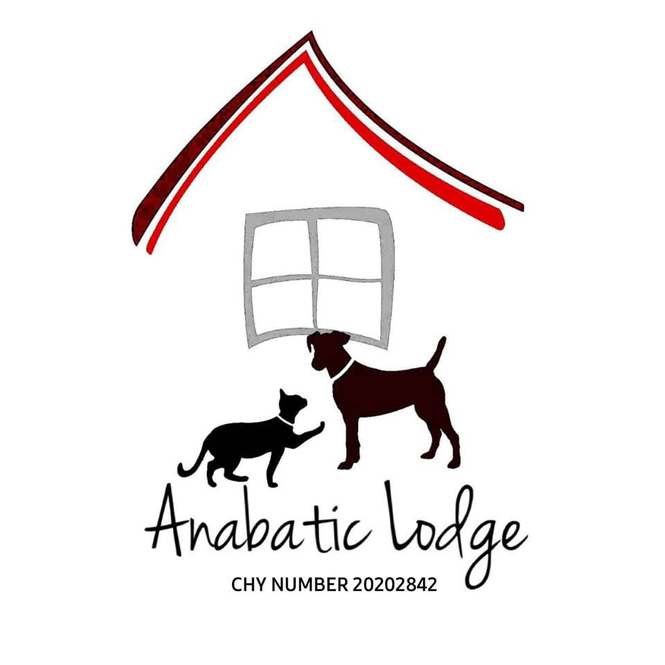 Anabatic Lodge Animal Rescue