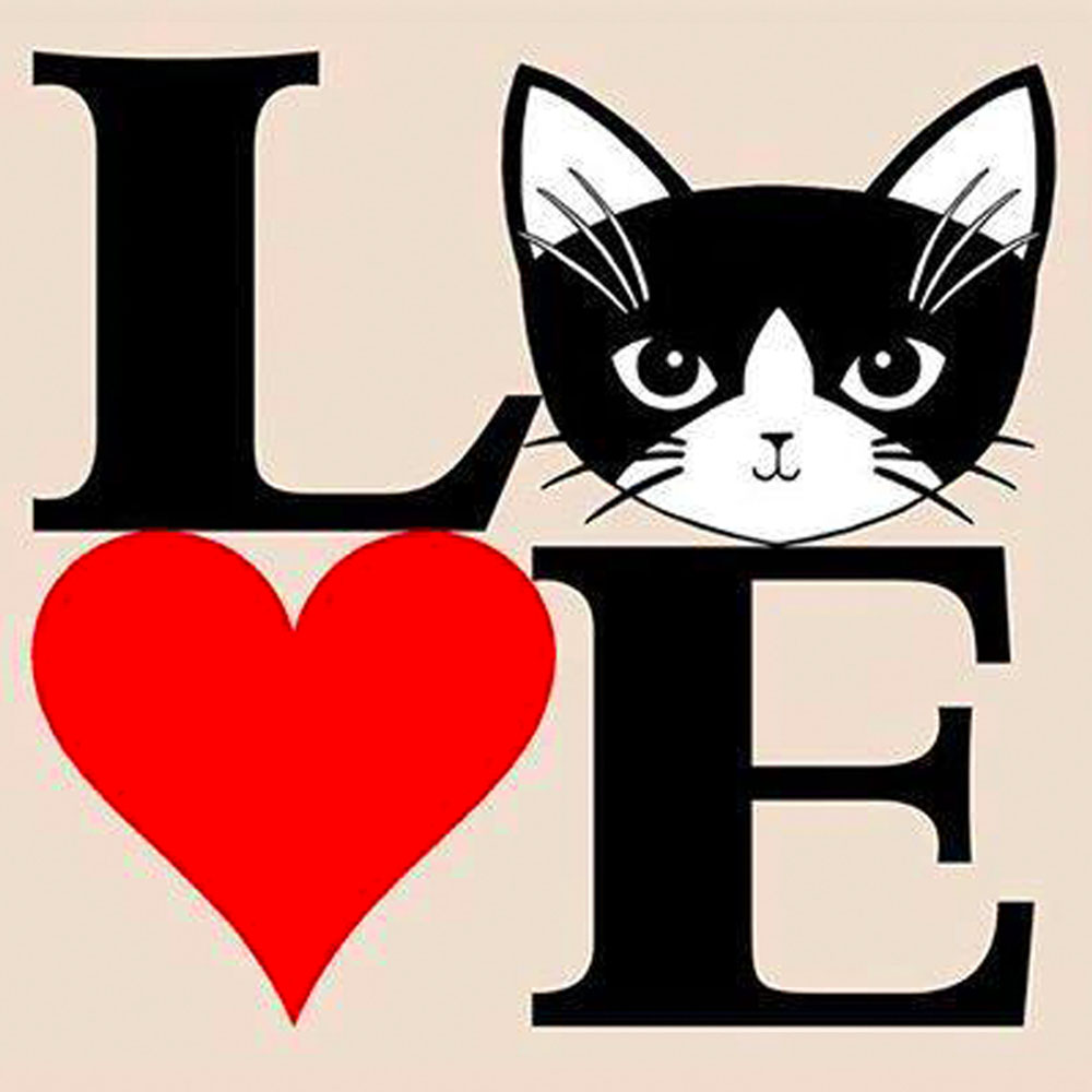 Aughrim Cat Rescue