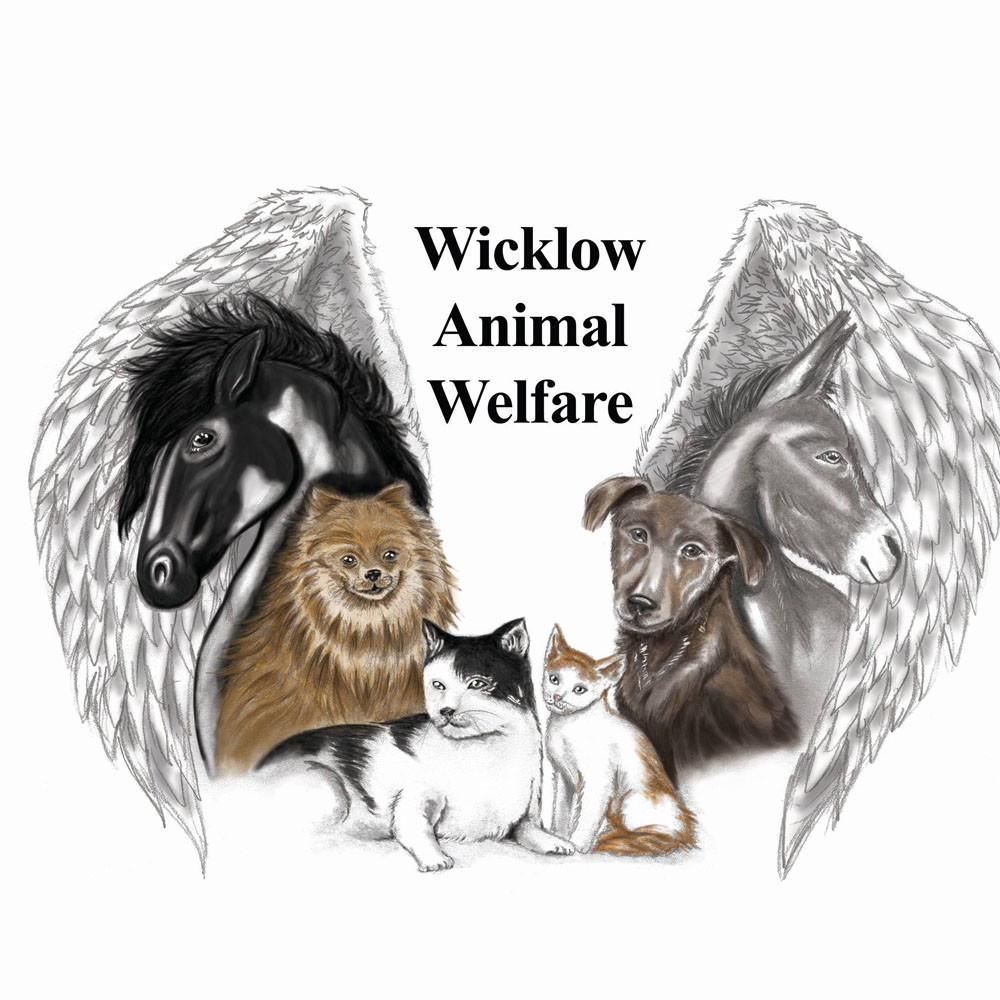 Wicklow Animal Welfare