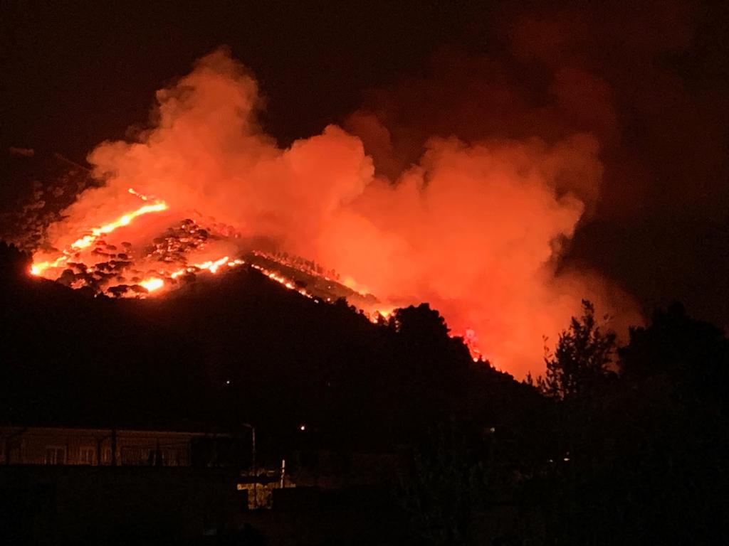 Sosteniamo Le Famiglie Colpite Dagli Incendi A Monreale