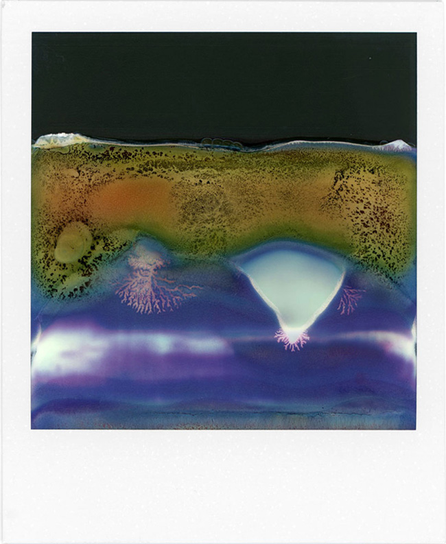 Catene allineate di polivinilene su fogli di plastica da 9x6,8 cm. In linguaggio meno tecnico: Polaroid. William Miller ci mostra cosa riesce a sviluppare con una vecchia SX-70. Bella, ingegnosa, ma quasi del tutto rotta. LTVs, Ruined Polaroid, William Miller, Lancia TrendVisions