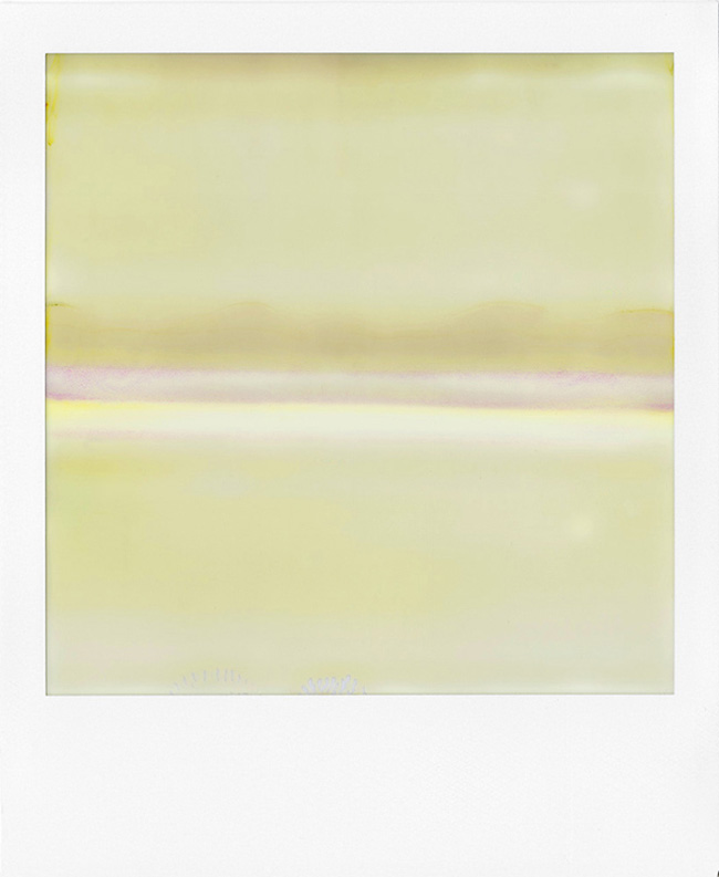 Catene allineate di polivinilene su fogli di plastica da 9x6,8 cm. In linguaggio meno tecnico: Polaroid. William Miller ci mostra cosa riesce a sviluppare con una vecchia SX-70. Bella, ingegnosa, ma quasi del tutto rotta. LTVs, Ruined Polaroid, William Miller, Lancia TrendVisions