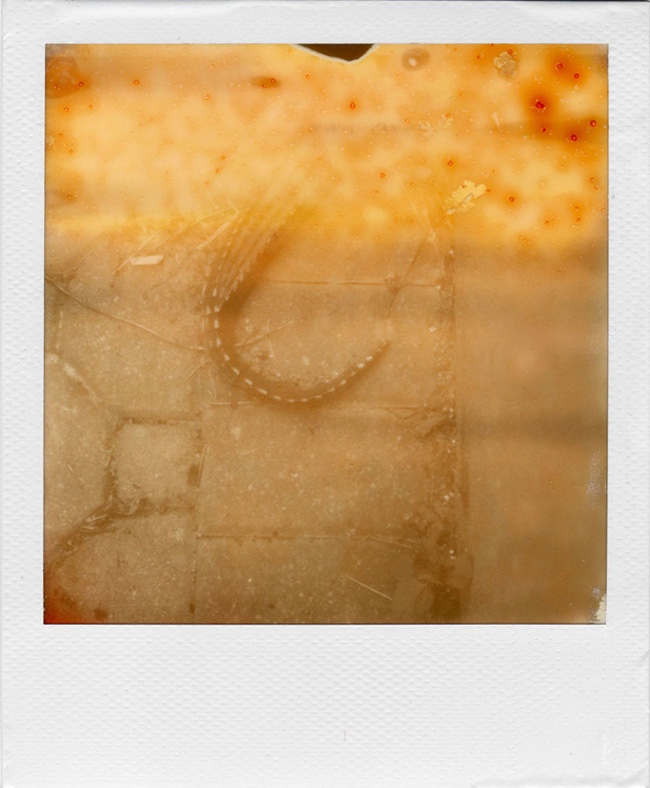 LTVs, Ruined Polaroid, William Miller, Lancia TrendVisions