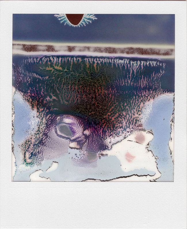 LTVs, Ruined Polaroid, William Miller, Lancia TrendVisions