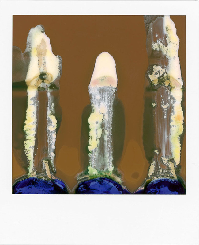 LTVs, Ruined Polaroid, William Miller, Lancia TrendVisions