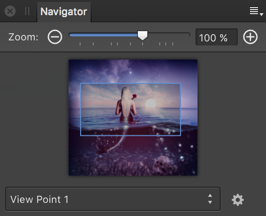 Navigator panel
