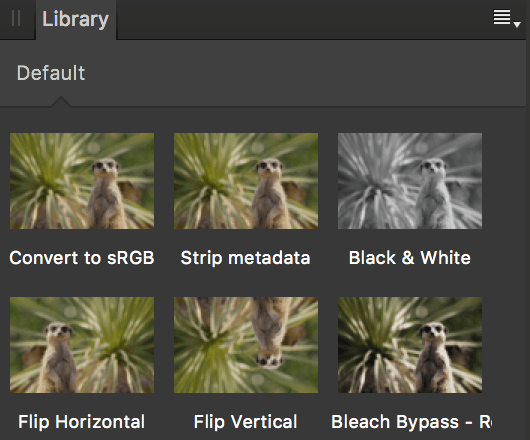 Sous-fenêtre Bibliothèque