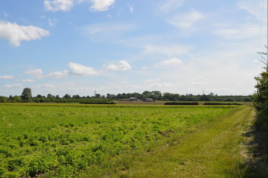 Lodge Farm, Park Farm Road, Upminster, RM14