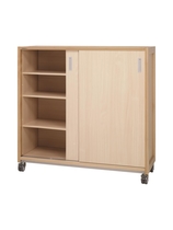 Kast 440 Wit met 1 tussenpaneel