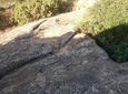 Foto de Alchup de la Sierra 1