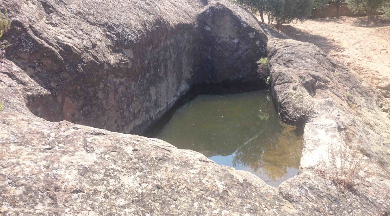 Alchup de Mogueró