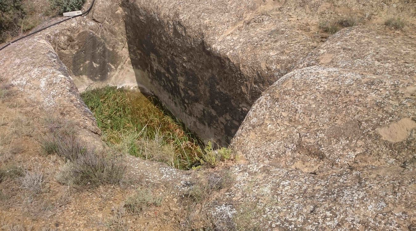 Alchup del Sabino