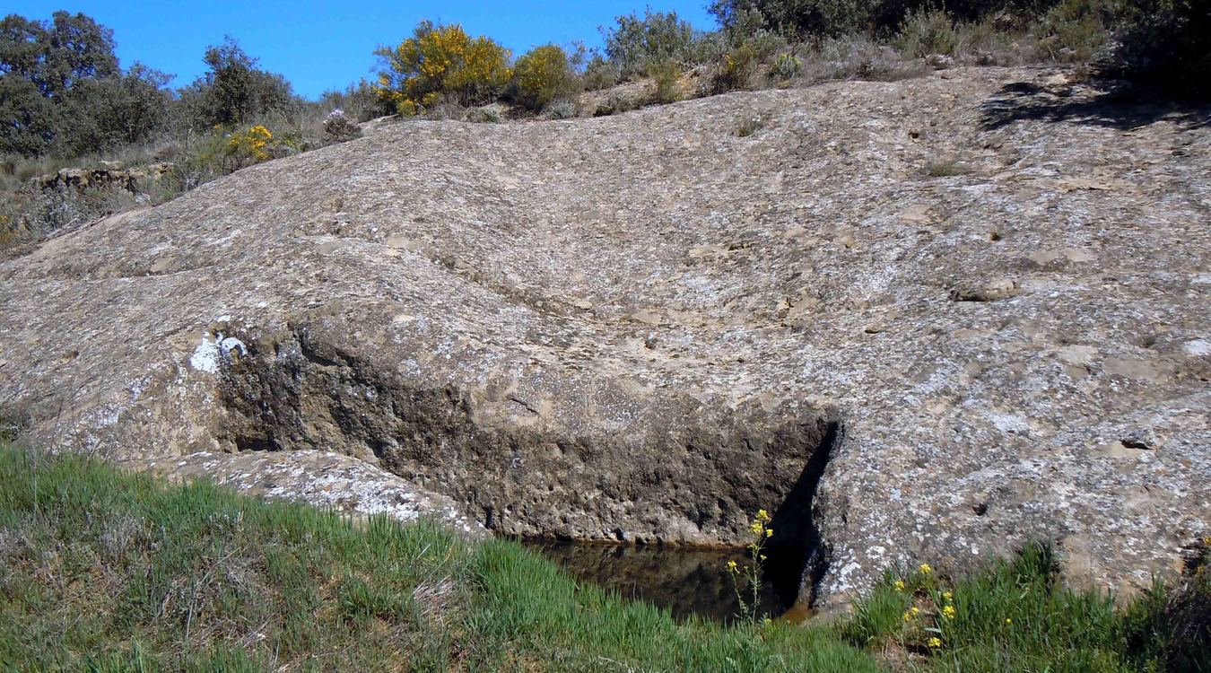 Alchup del Torré
