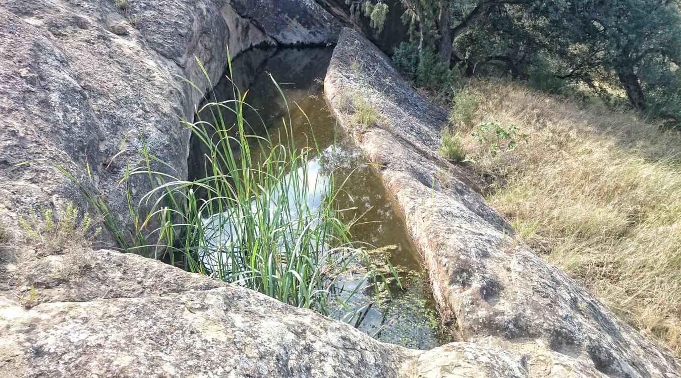 Alchup Lluengo del Olcid