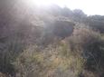 Foto de Alchup de la Cascada Vedera 2