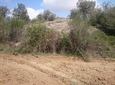 Foto de Alchup de Santa Ana