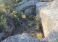 Foto de Alchup del Olivaret