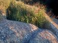 Foto de Alchup de los Cántaros