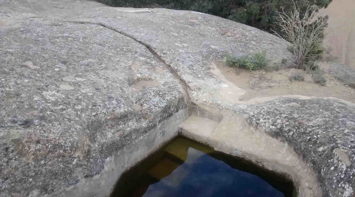 Alchup de Maimó 2