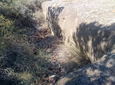 Foto de Alchup de la Serra