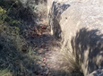 Foto de Alchup de la Serra