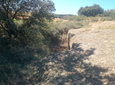 Foto de Alchup de la Serra