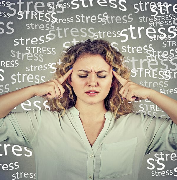 allen carr's easyway to mindfulness Take a Break