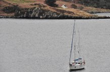 Siluriean (Hebridean Whale and Dolphin Conservation)