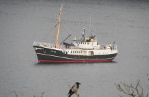 Cape Race